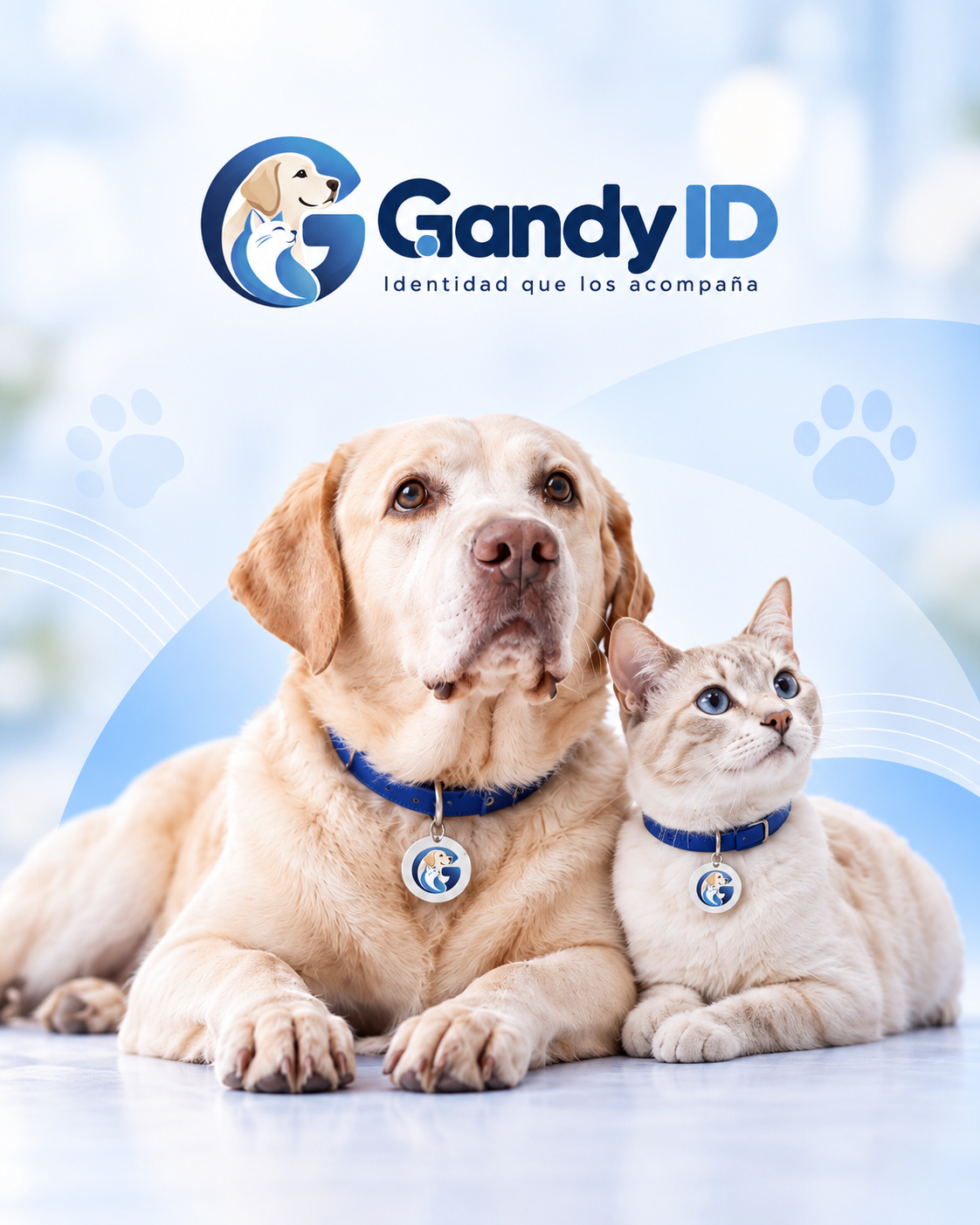Mascota con identificación Gandy ID